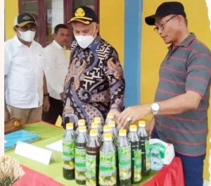Sekolah Pedalaman Aceh Timur Hasilkan Produk Pupuk Cair Organik