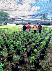 Dr. Swandari, PUIPT Nilam Aceh USK Unggul dalam Hilirisasi Inovasi