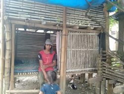 Sudirman warga Ukee Titeue Pidie Puluhan Tahun Tinggal di Kandang Bebek Siapa Peduli?