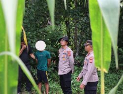 Pelaku Pembunuhan di Gampong Siurai-Urai Diamankan Polisi