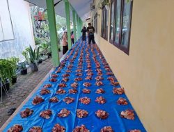 SMA Negeri 1 Sukamakmur Aceh Besar Distribusi 595 Paket Qurban