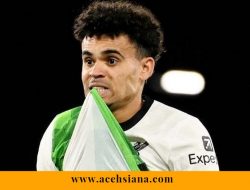 Luis Díaz Minta ELN Segera Bebaskan Ayahnya