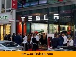 Konflik Laut Merah: Produksi Tesla di Jerman Dihentikan