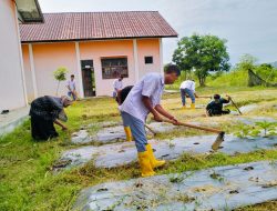 Siswa SMKN 1 Simpang Mamplam Persiapan Lahan Pasca Panen Kedelai