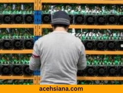 Modus Penipuan Kripto ‘Pig Butchering’ Makin Merajalela, Bentuk Industri Kriminal Besar