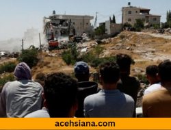 Biadab, Pemukim Ilegal Teroris Israel Racuni Ternak Warga Palestina