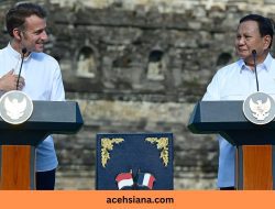 Prabowo-Macron Luncurkan Kemitraan Budaya RI-Prancis di Borobudur