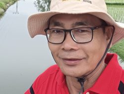 Salah Apa Demokrasi di Negeri Ini?