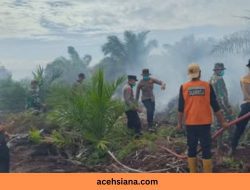 BNPB Lakukan Water Bombing Padamkan Karhutla 77 Hektare di Aceh Selatan